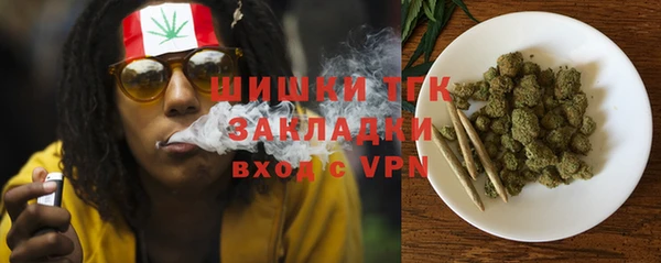 стафф Алзамай