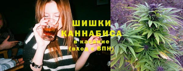стафф Алзамай