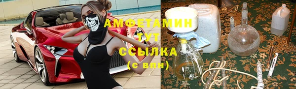 амф Алексин