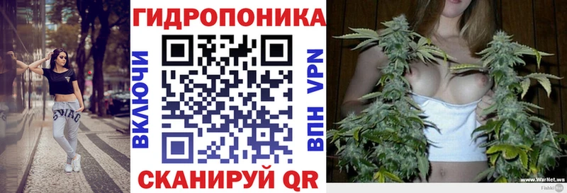 Бошки Шишки конопля сколько стоит Гусиноозёрск